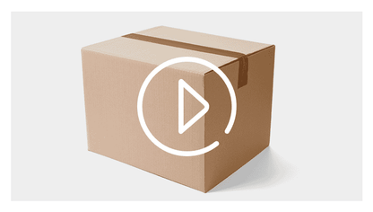 Cartoon Jack Russell Terrier women's fashion short t-shirt